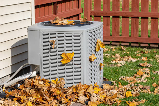 Best Residential HVAC services  in Homerville, GA